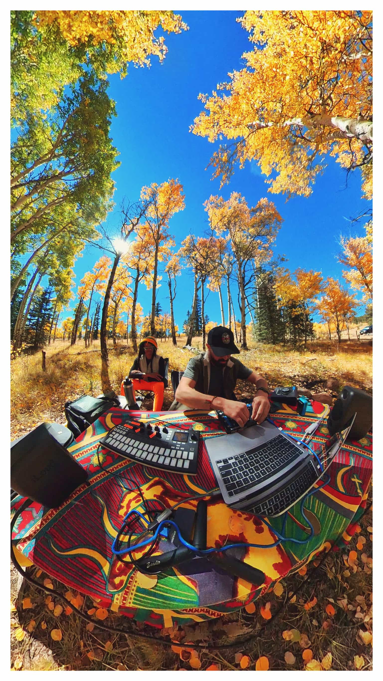 Aspens
