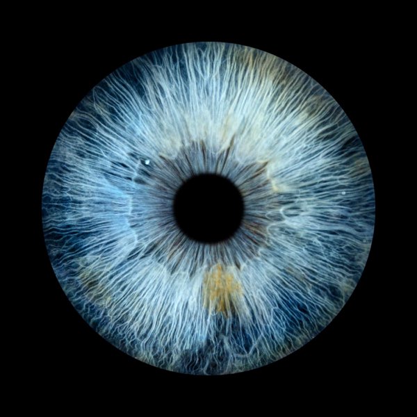 Garrett Thorn – Alive and&nbsp;Well