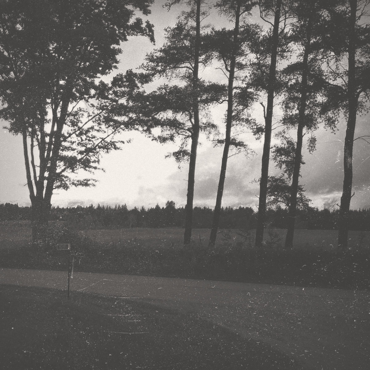 Ross Thorn – That Old Logging Town&nbsp;(Live)